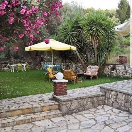 Guesthouse Emi Lygia  Extérieur photo